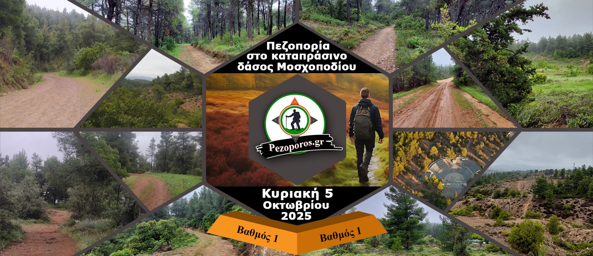  Πεζοπορία στο καταπράσινο δάσος του Μοσχοποδίου στην Θήβα | Κυριακή 5 Οκτωβρίου 2025 